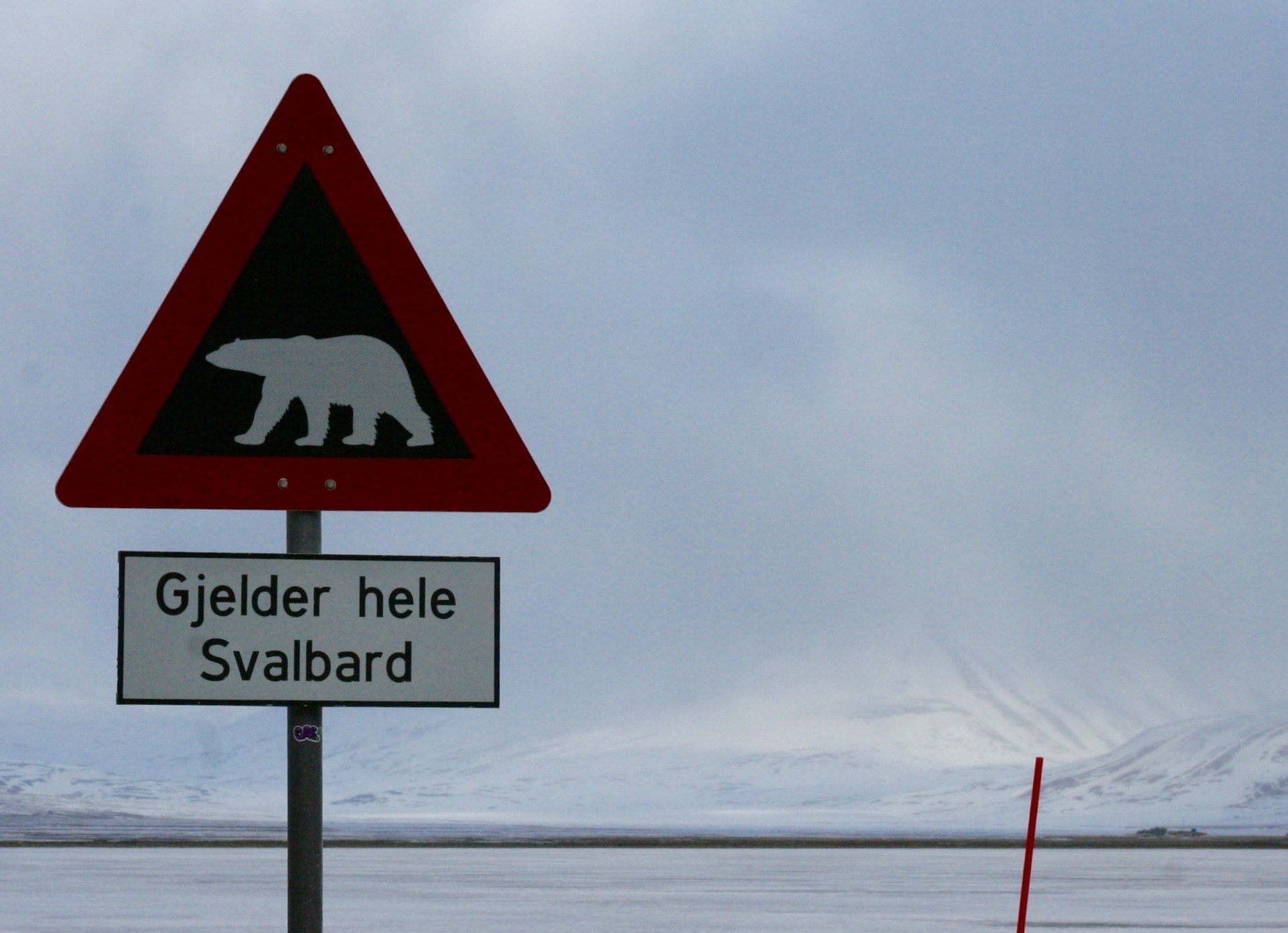 Tra i ghiacci di Svalbard, al Polo Nord