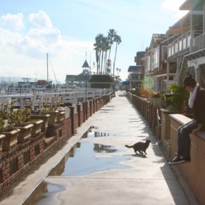 5 cose da fare a Newport Beach, California Sara Caulfield
