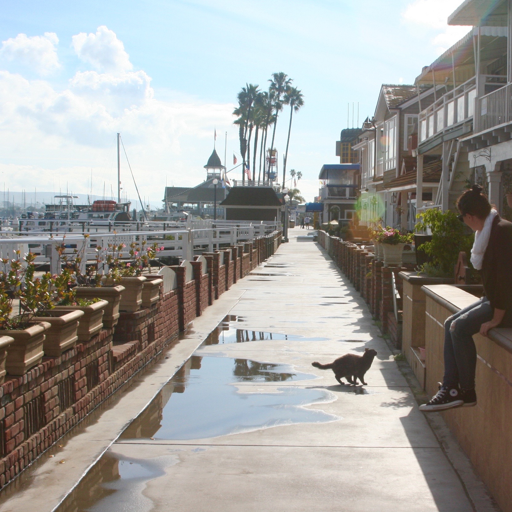 5 cose da fare a Newport Beach, California