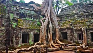 I templi di Angkor Wat, Cambogia - Sara Caulfield