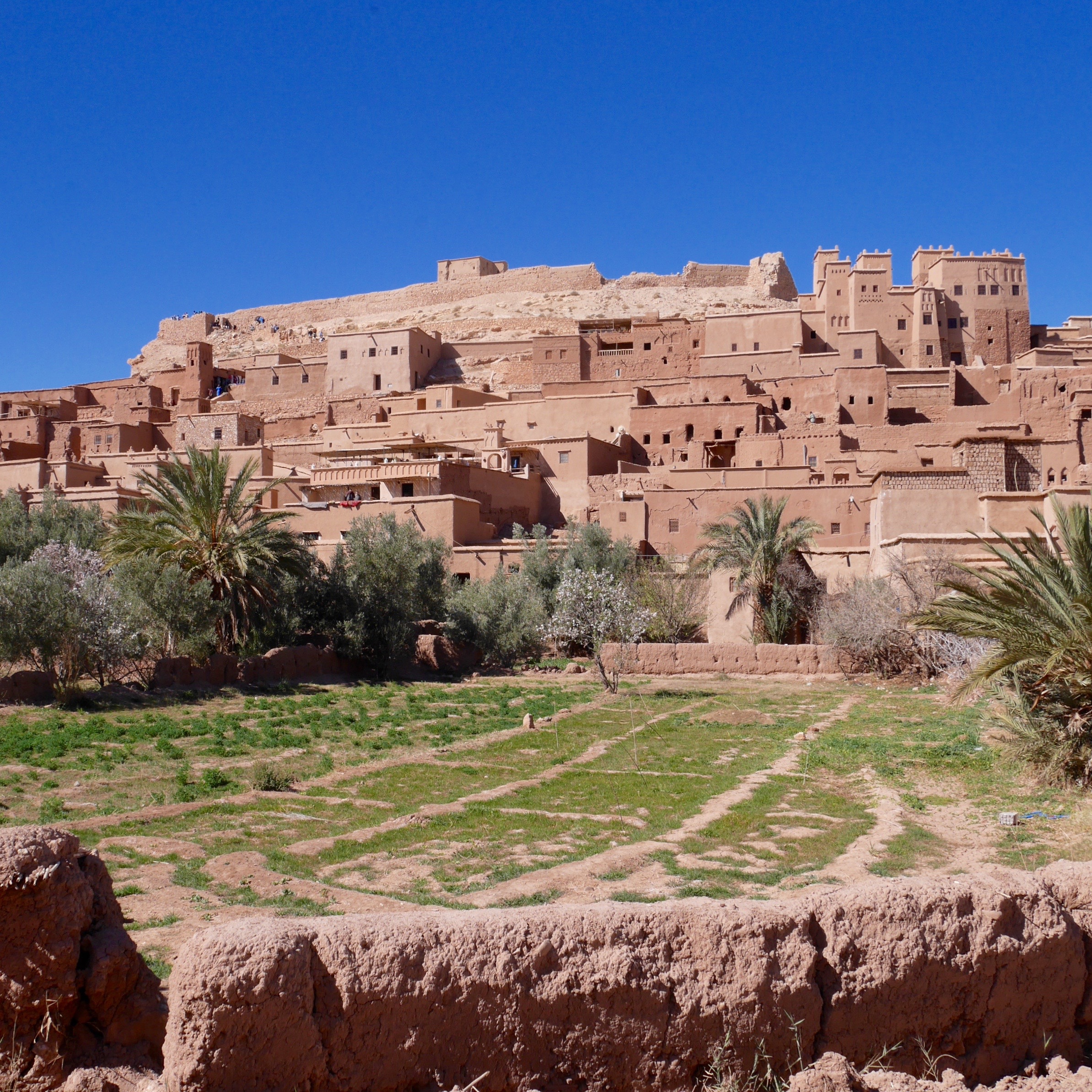 Visita a Ait-Ben-Haddou e a Ouarzazate in Marocco
