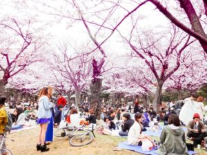 5 cose da fare gratis a Tokyo sara caulfield