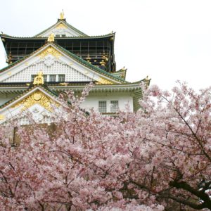 Hanami: la fioritura dei ciliegi e la primavera in Giappone sara caulfield