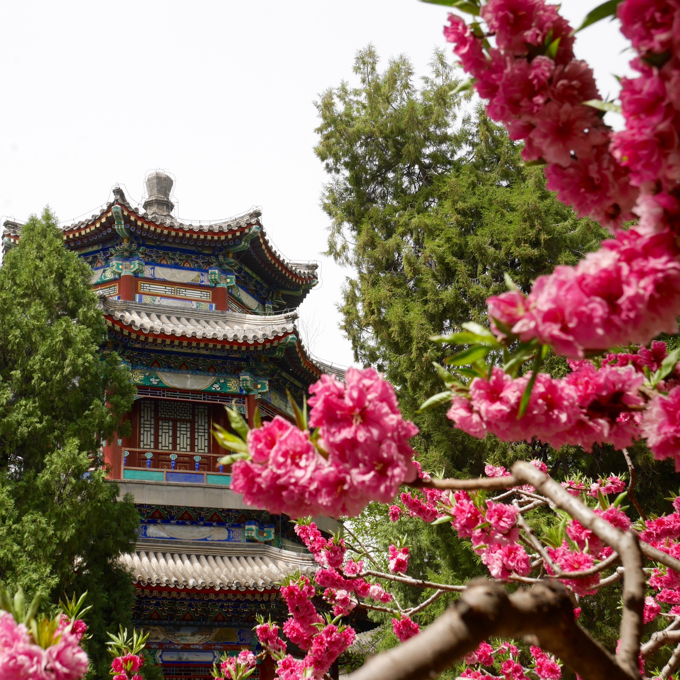 10 cose da fare a Pechino in Cina