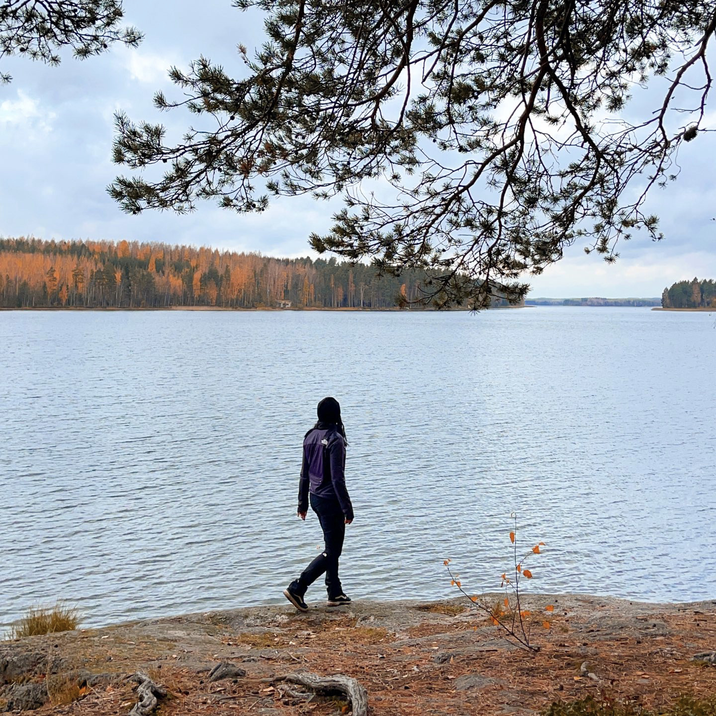 Finlandia: itinerario per girare la regione dei laghi